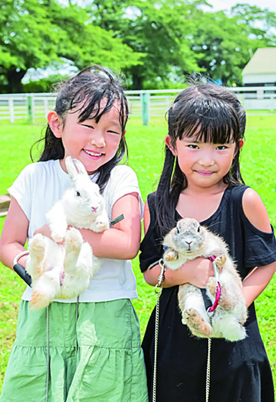 チョイス旅4_あれもこれも楽しみたい！よくばり旅